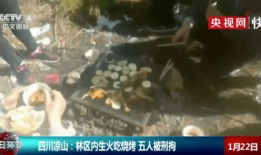 凉山吃瓜爆料事件视频播放,揭秘事件背后真相