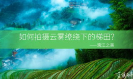 山水t91直播效果,沉浸式山水画卷，带你领略自然之美
