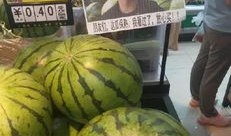 网红爆料吃瓜喷水在线,吃瓜喷水，揭秘娱乐圈幕后真相